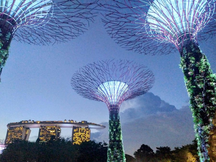 Garden Rhapsody Light Show