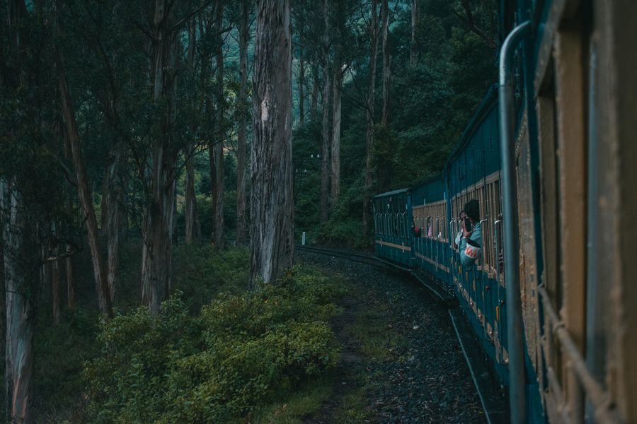 Nilgiris highlight