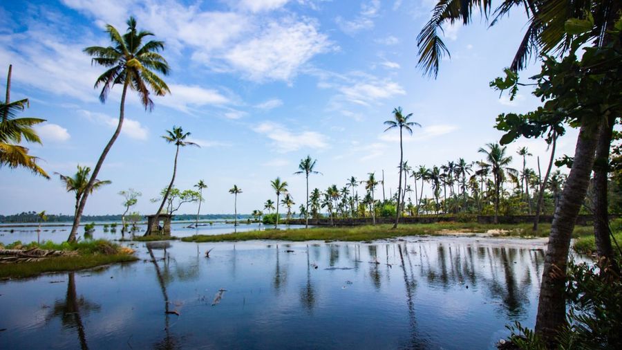Kerala Trip Guide: Munnar, Thekkady, Alleppey, and Backwater Experiences