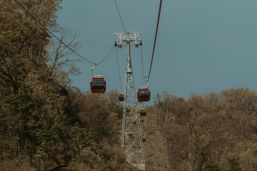 Forest Canopy Crossing