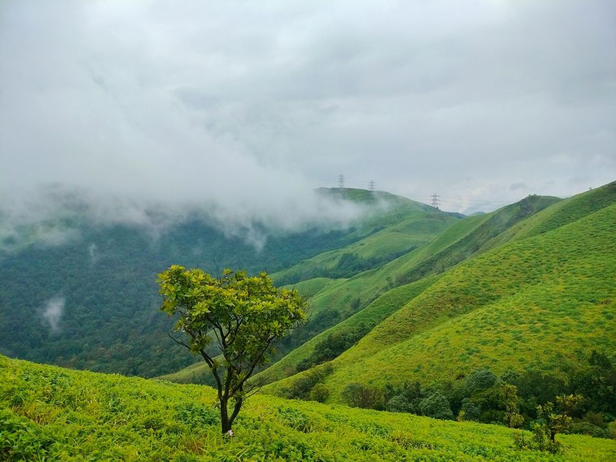 Sakleshpur highlight