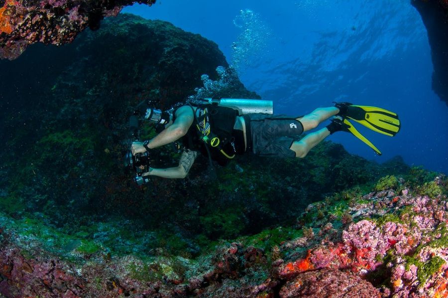 Scuba Diving at Temple Reef
