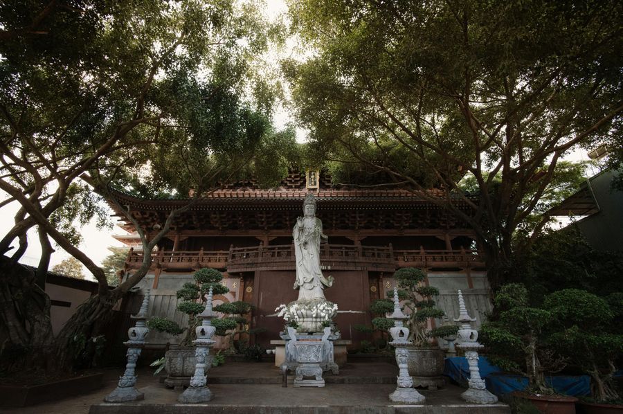 Main Shrine & Bodhi Tree
