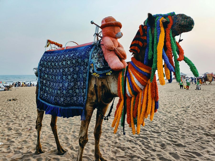 Drive to Mandvi Beach