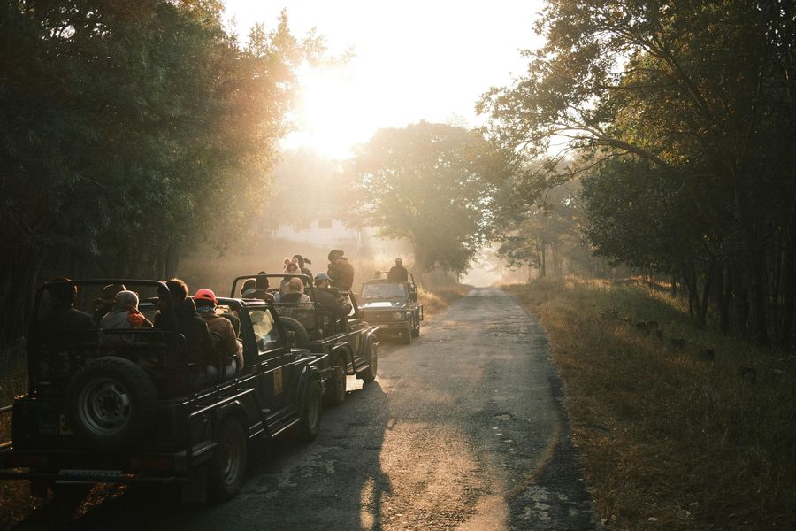 Bandipur Jeep Safari