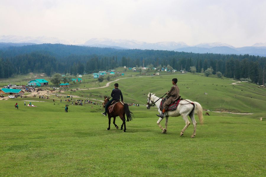 Horse Riding at the Ground