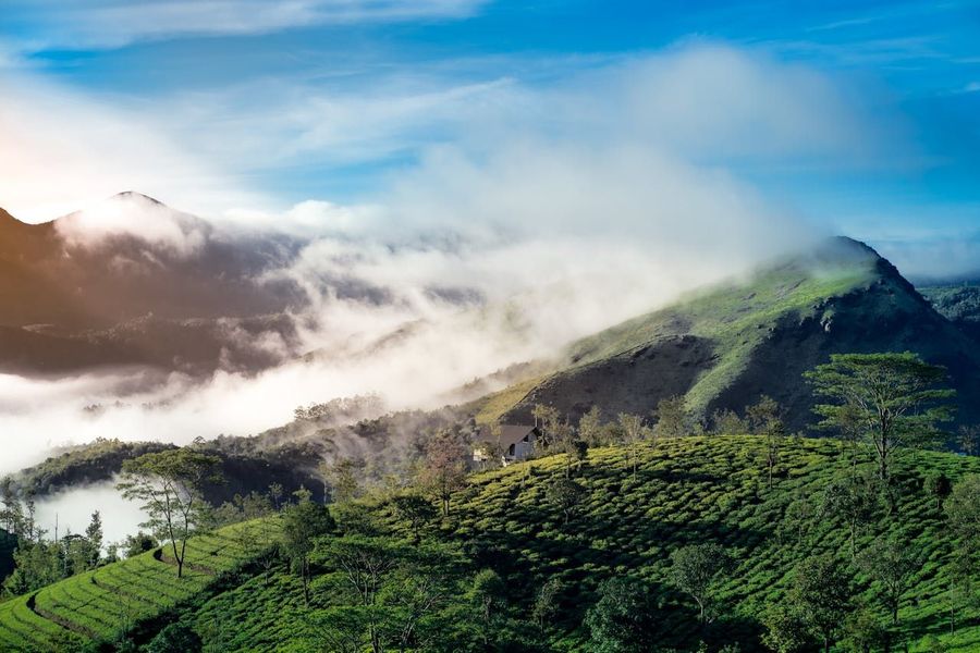 2 and 3 Day Ooty Tour Packages (2026): Itineraries, Prices & Travel Guide 