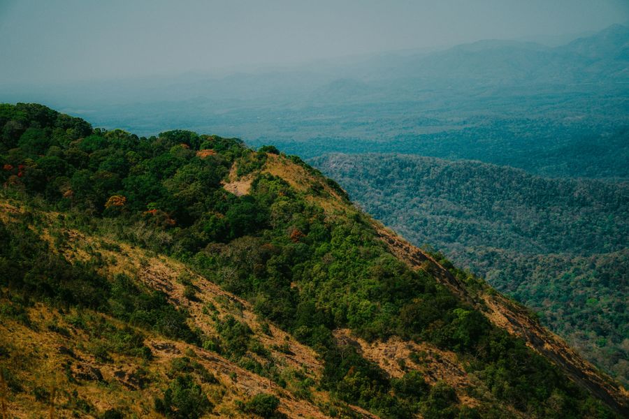 Agumbe highlight