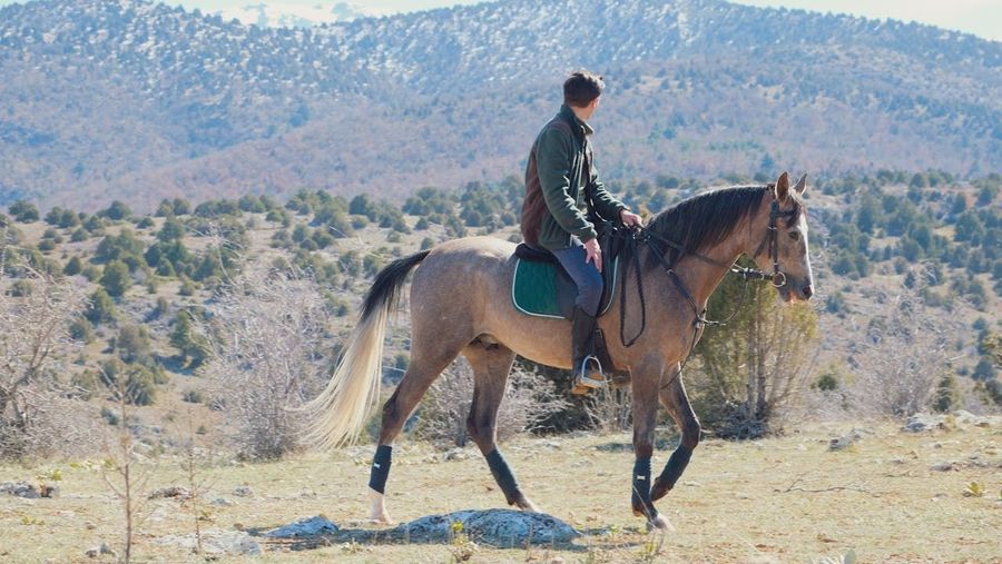 Horse Safari in Aravalli Hills