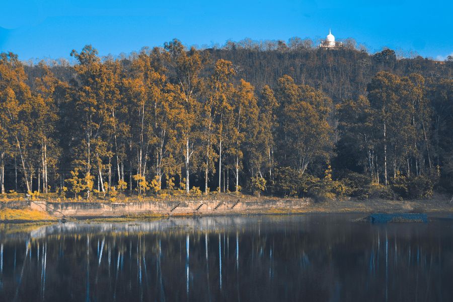 Rajgir highlight
