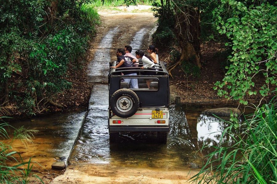 Simlipal Forest Safari