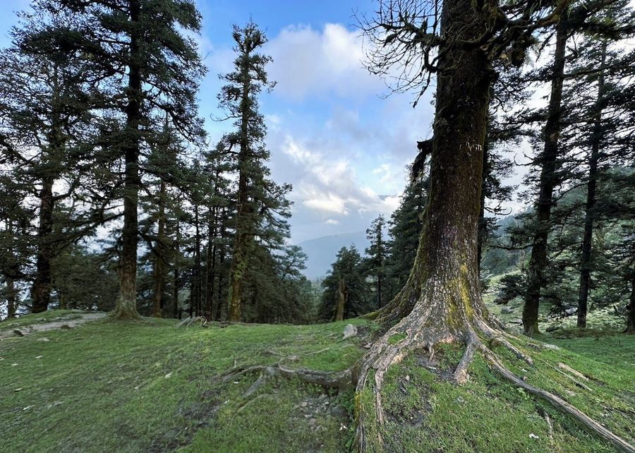 Himalayan Nature Park