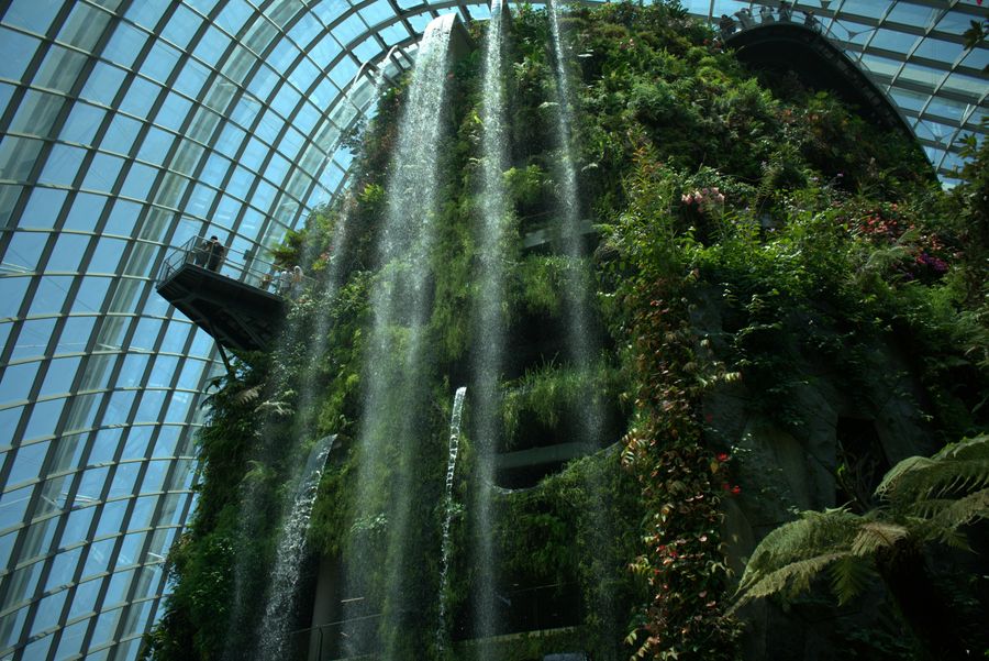 Cloud Forest Waterfall