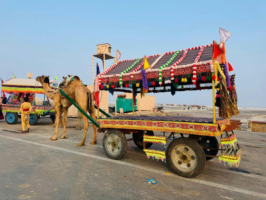 Rann of Kutch highlight