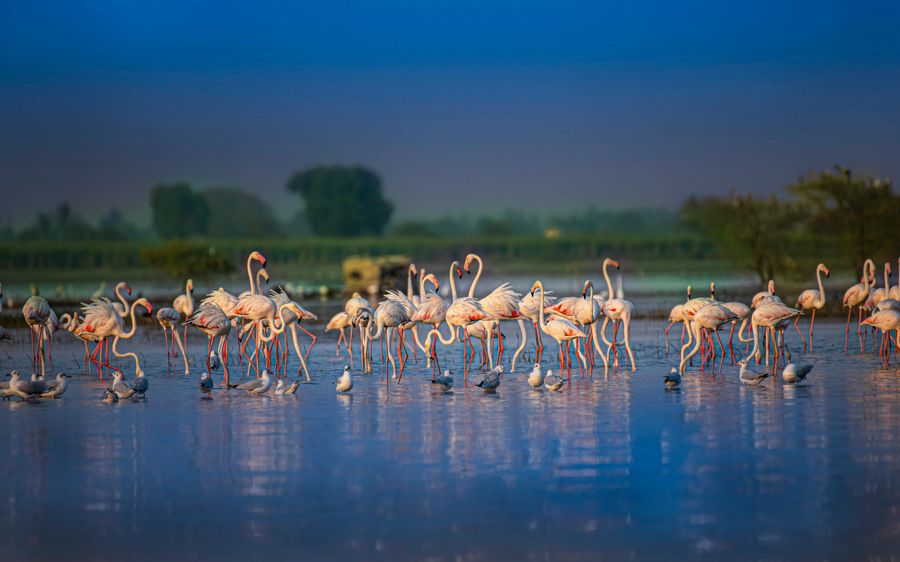 Keoladeo National Park