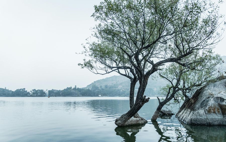 Mount Abu highlight