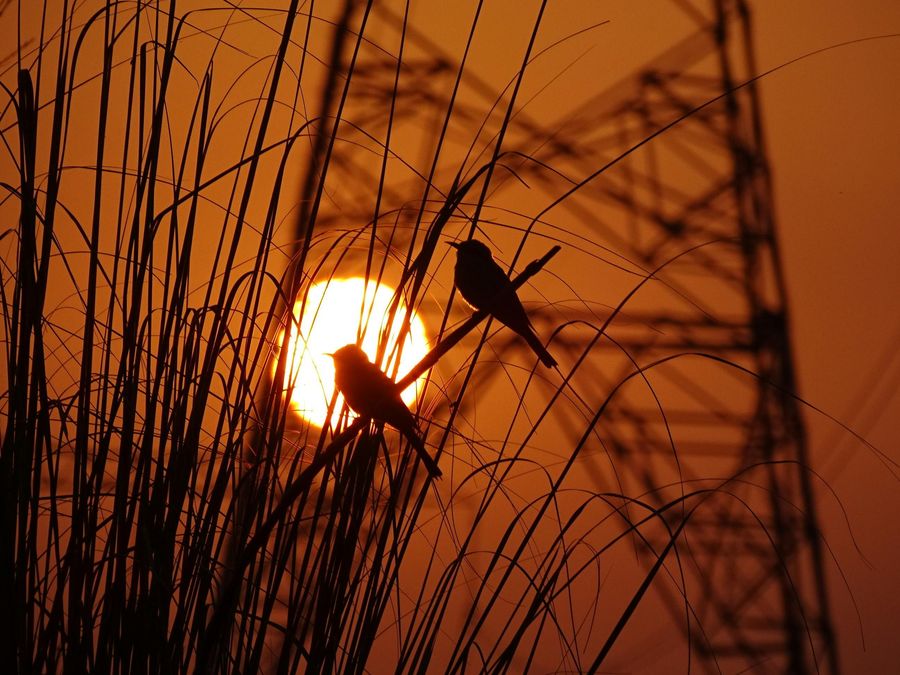 Sunrise Photography Session