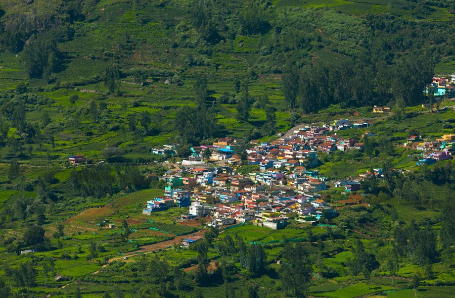 Nilgiris highlight