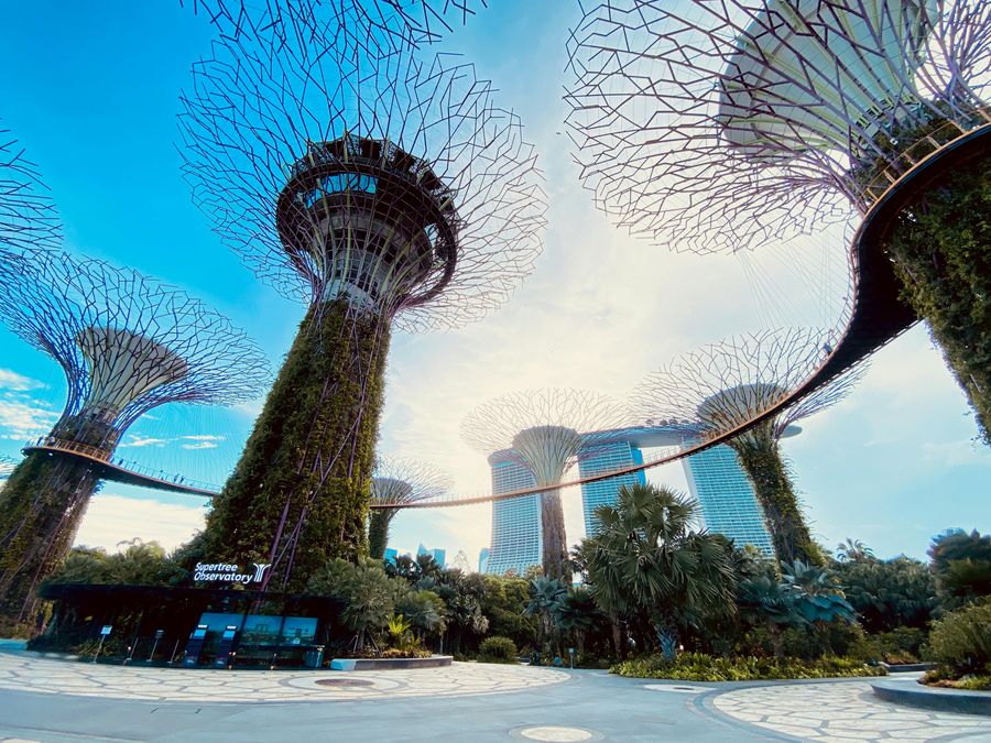 Singapore highlight