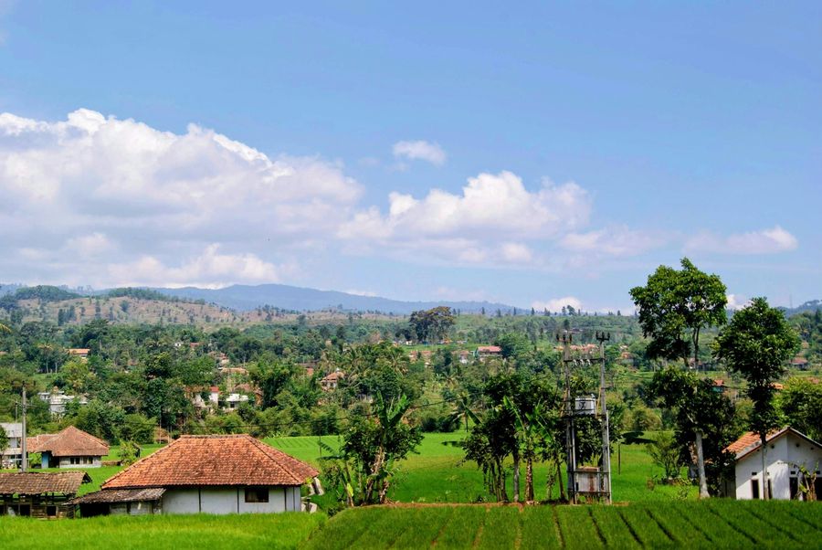 Chikmagalur highlight
