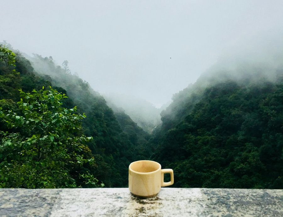 Araku Valley Coffee