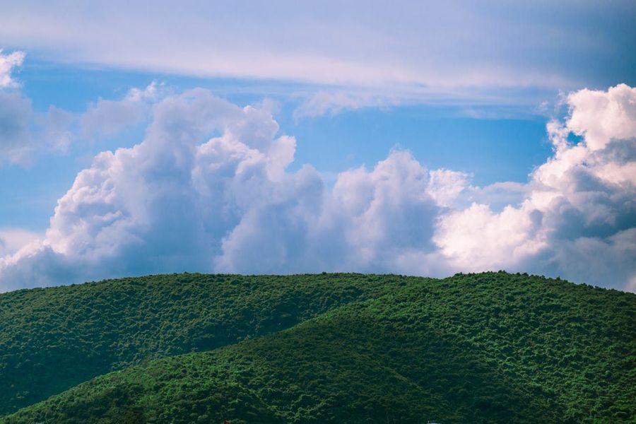 Biligiriranga Hills highlight