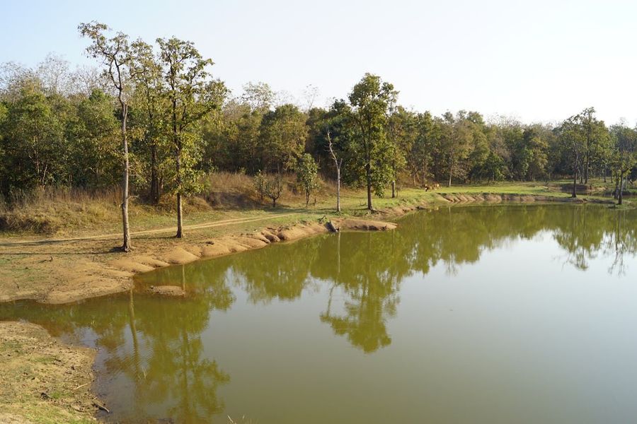 Telia Waterhole
