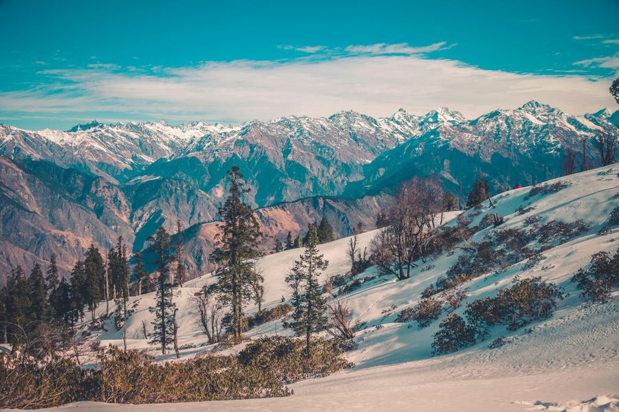 Auli highlight