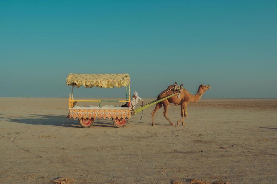 Rann of Kutch highlight
