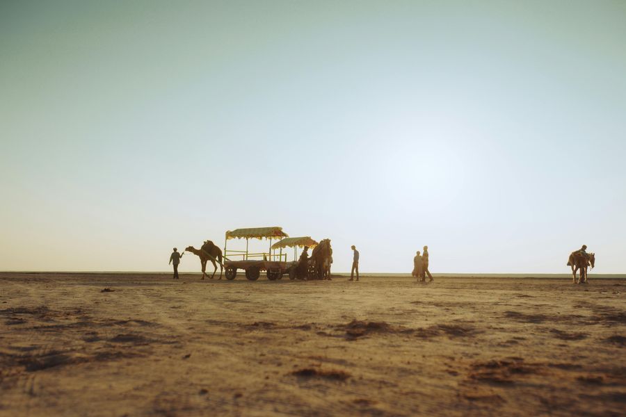 Rann of Kutch highlight