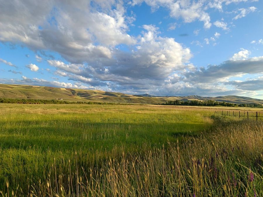 Chahala Grasslands