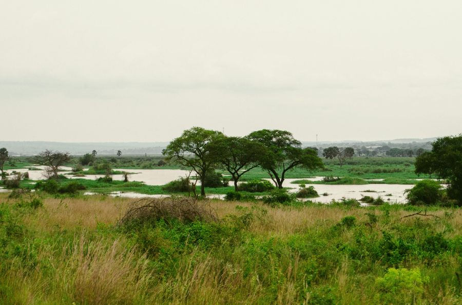 Betla National Park highlight