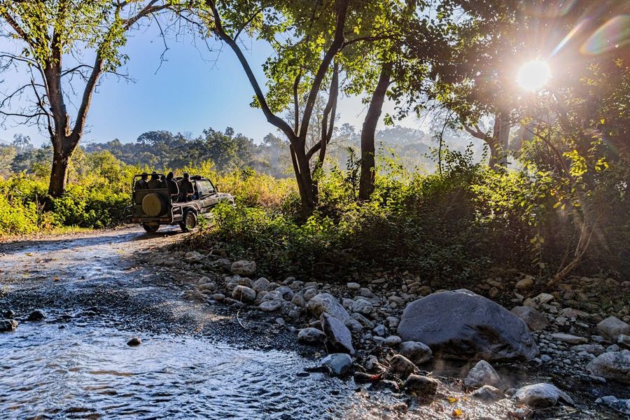 Bandhavgarh National Park highlight