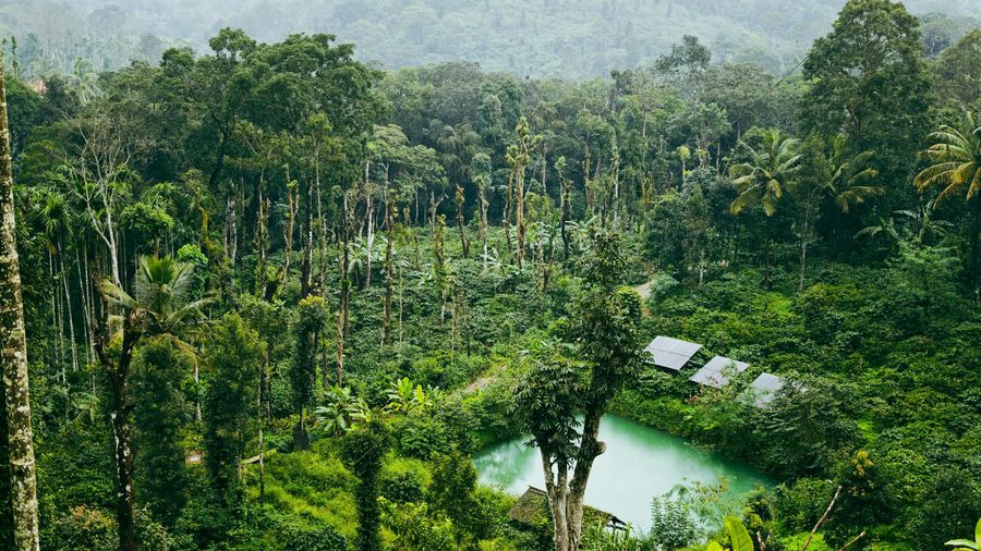 Chikmagalur highlight