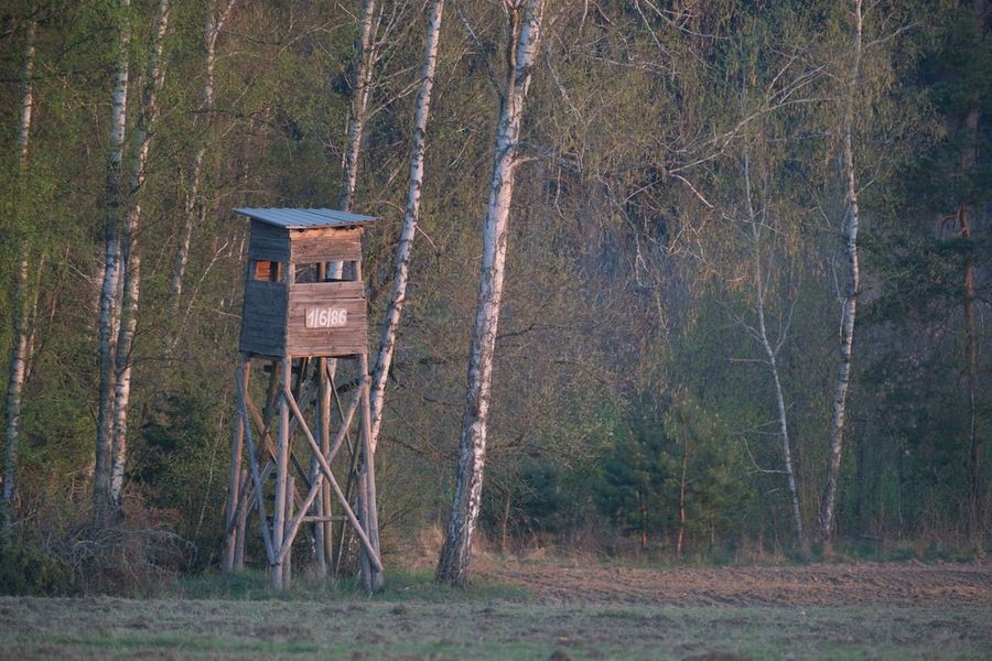Dawn Watchtower Vigil