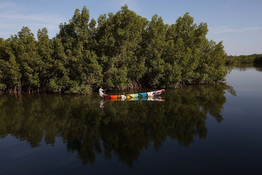 Kayak Through Mangroves at Coringa near Vizag Coast