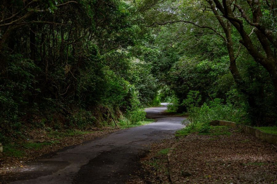 Visiting Udawattakele Forest Reserve