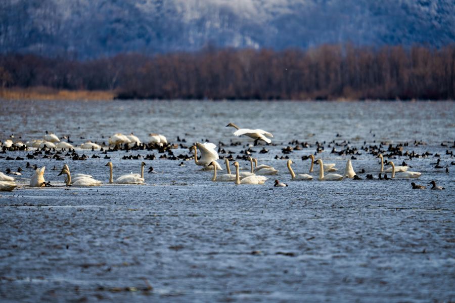 Sultanpur Lake Loop
