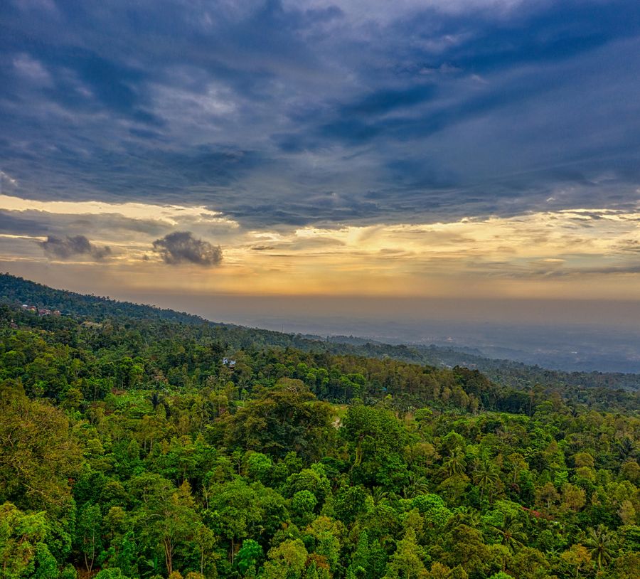 Best Coorg Packages from Bangalore (2026): Budget to Luxury Explained