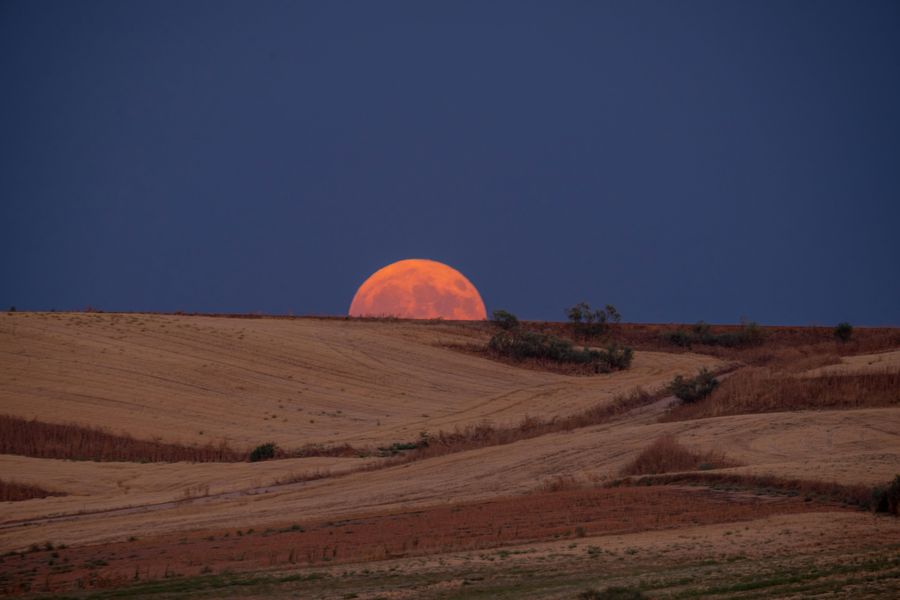 Full Moon Rann
