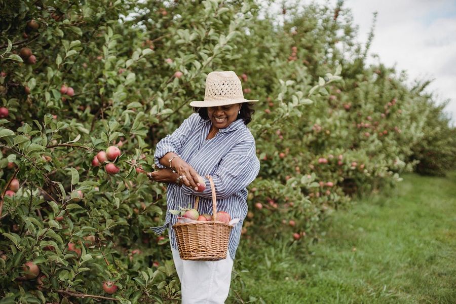 Seasonal fruit picking