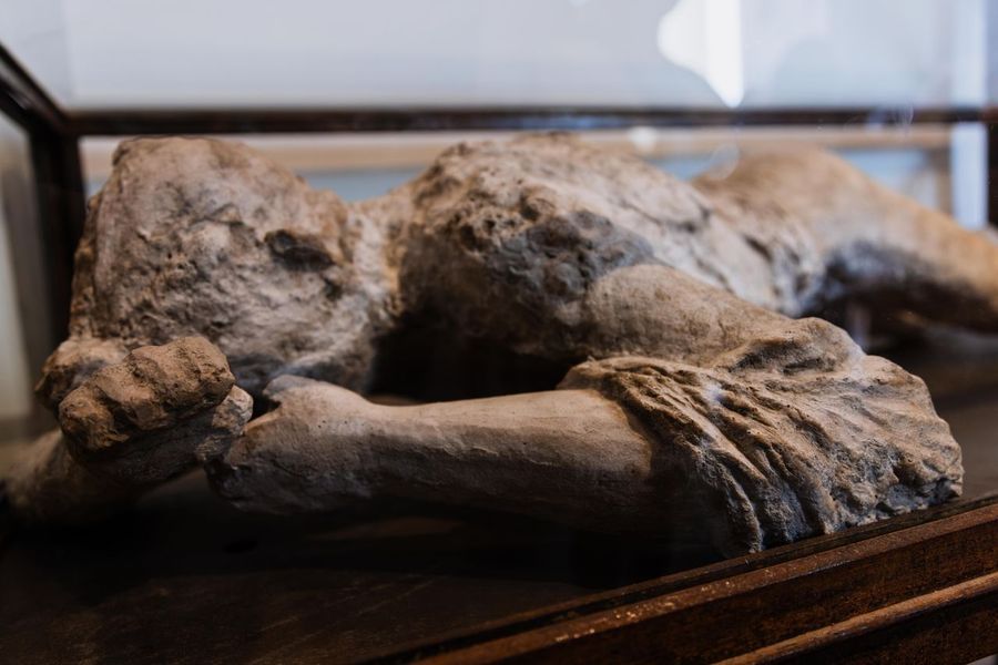 Plaster casts