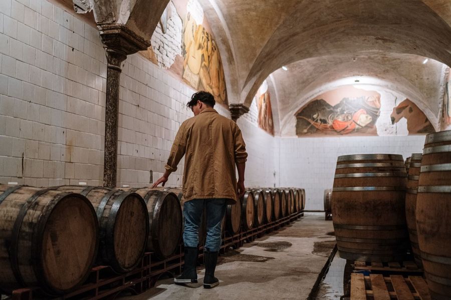 Cellar tours