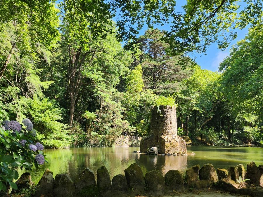 Lush grounds