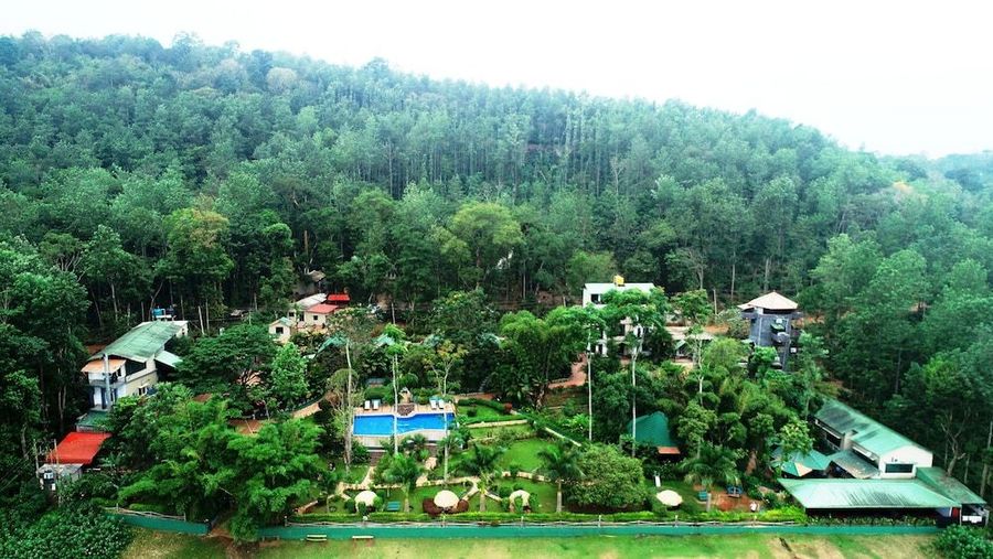 plantation coorg 