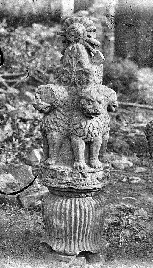 Sanchi Lion Capital