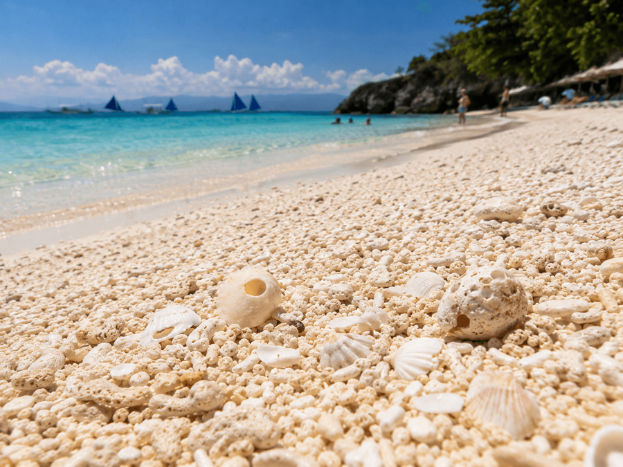 Natural shell sand
