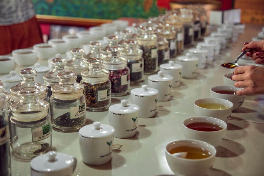 Interactive Tea Museum