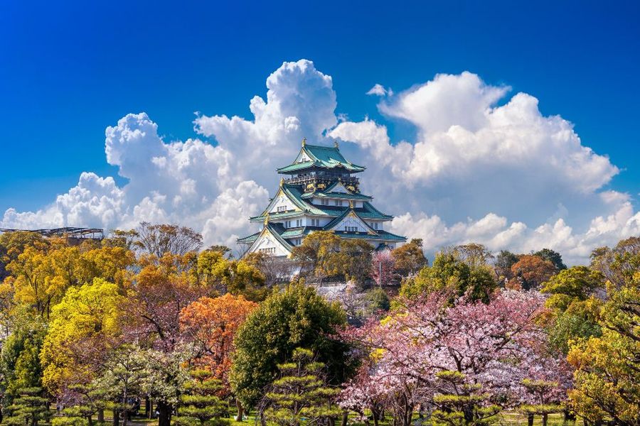 The Most Beautiful Temples and Parks to Visit in Japan This March