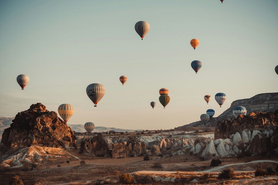 Curated Experiences